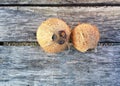 Coconuts Royalty Free Stock Photo