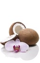 Coconuts and orchid