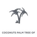 Coconuts palm tree of Brazil icon from Brazilian icons collection.