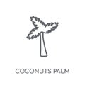 Coconuts palm tree of Brazil linear icon. Modern outline Coconut