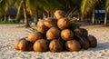 Coconuts Piled on Sandy Beach with Palm Trees and Beach Huts in Background Royalty Free Stock Photo