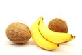 Coconuts and Ripe Bananas Closeup