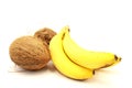 Coconuts and Ripe Bananas