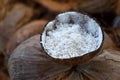 Coconuts sale in market thailand Royalty Free Stock Photo