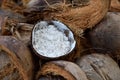 Coconuts sale in market thailand Royalty Free Stock Photo