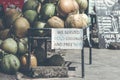 Coconuts for sale on a roadside on Bali island, Indonesia. Royalty Free Stock Photo