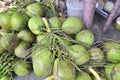 Coconuts for sale to travellers on a treet vendor in Vietnam