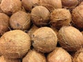 Coconuts for Sale. Royalty Free Stock Photo