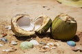 Coconuts on the sand Royalty Free Stock Photo