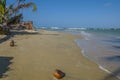 Coconuts on the shoreline in Tabatinga Beach, Natal, Brazil