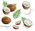 Coconuts with splash set collection Vector realistic. Layout template tropic exotic cards