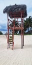 Coconuts on the steps of the watchtower of the beach. Tropical Royalty Free Stock Photo