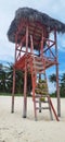 Coconuts on the steps of the watchtower of the beach. Tropical Royalty Free Stock Photo