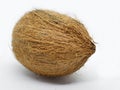 I`m just a regular coconut