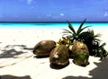Coconuts and tropical fruits in the sand on the beach Royalty Free Stock Photo