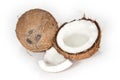 Coconuts on a white background Royalty Free Stock Photo