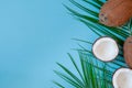 Coconuts whole and halved. With palm leaves on a blue background. View from above. Place for text. Flat lay Royalty Free Stock Photo