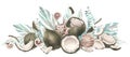 Coconuts whole, halves and pieces with tropical leaves and sea shells. Watercolor illustration, hand drawn. Isolated