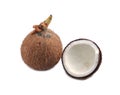 Coconutsl with white background