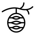 Cocoon icon outline vector. Butterfly growth