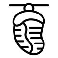 Cocoon maturation icon outline vector. Biology cocooning stage