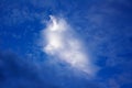 A cocooned cloud Royalty Free Stock Photo
