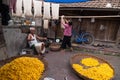 Cocoons of the silk worm was used in Vietnam Royalty Free Stock Photo