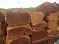 Cocopeat planting media from compacted fine coconut powder