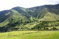 Cocora valley. Royalty Free Stock Photo