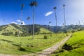 Cocora valley with giant wax palms near Salento, Colombia Royalty Free Stock Photo