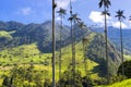 Cocora valley with giant wax palms near Salento, Colombia