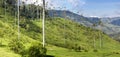 Cocora valley with giant wax palms near Salento, Colombia Royalty Free Stock Photo