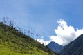 Cocora valley with giant wax palms near Salento, Colombia Royalty Free Stock Photo