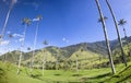 Cocora valley with giant wax palms near Salento, Colombia Royalty Free Stock Photo