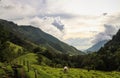 Cocora valley, Quindio, Colombia Royalty Free Stock Photo