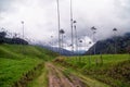 Cocora Valley Road