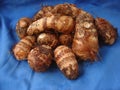 Cocoyam