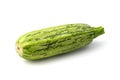 Cocozelle zucchini Royalty Free Stock Photo