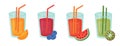 Fruit Cocktails With Straws Set. Orange, Watermelon, Blueberry, Kiwi Juice. Fresh Summer Drink. Vector Illustration.