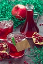 Coctail with pomegranate juice and ice, copy space for text Royalty Free Stock Photo