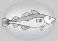 Cod, black and white hatched drawing a gray gradient background