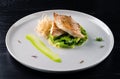 Cod fillet with broccoli, fried breaded fish fillets with broccoli Royalty Free Stock Photo