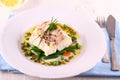 Cod Fillet with green beans, peas, parsley, olive oil Royalty Free Stock Photo