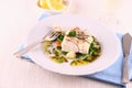 Cod fillet with green beans, peas, parsley, olive oil, wine Royalty Free Stock Photo