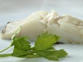 Cod fish raw fillet with herbs Royalty Free Stock Photo