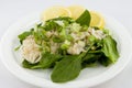 Cod Fish Salad Royalty Free Stock Photo
