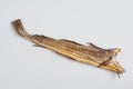 Cod stockfish isolated on white background