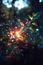 Code enchantment with particle system