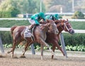 Code of Honor & Vino Rosso in the Jockey Club Gold Cup