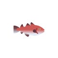 Codfish fish flat icon